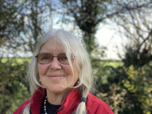 chrissie le marchant, blue badge guide