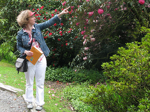 renate davie tourist guide